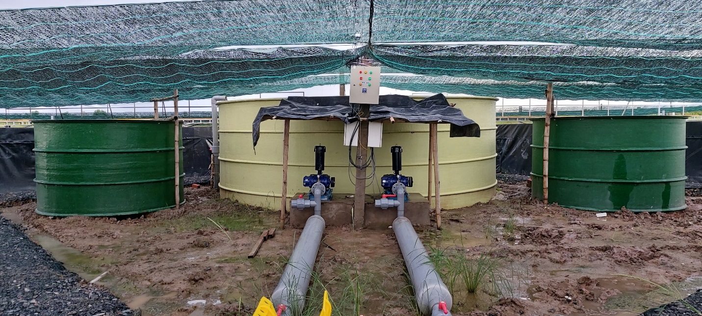 GIẢI PHÁP XỬ LÝ BÙN ĐEN, TỪ PHÂN TÔM VÀ THỨC ĂN THỪA