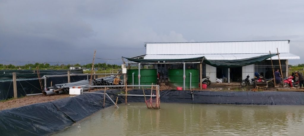 GIẢI PHÁP XỬ LÝ NƯỚC ĐẦU VÀO, NUÔI TÔM THƯƠNG PHẨM