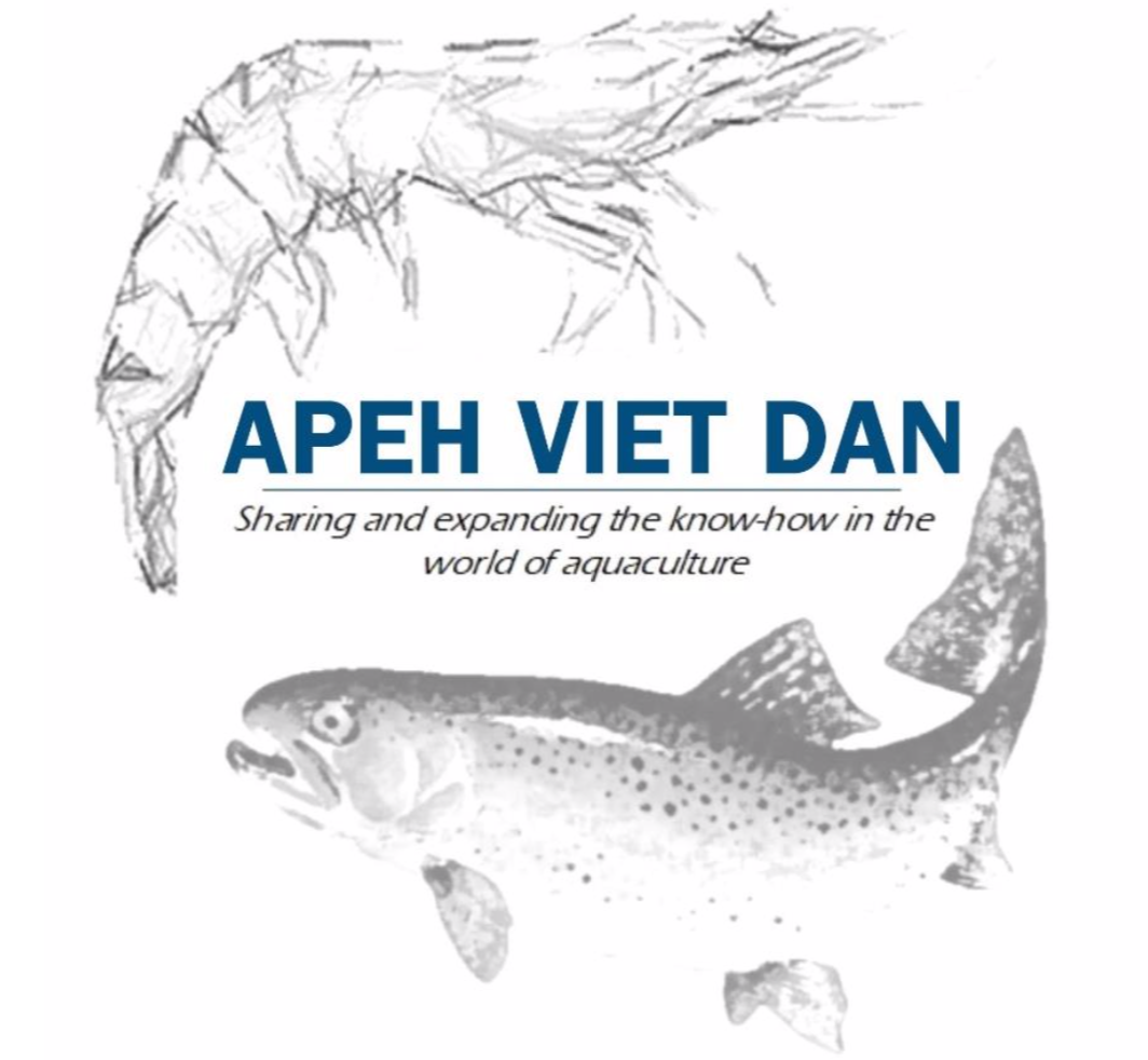 GIẢI PHÁP KIỂM SOÁT EHP NUÔI TÔM MÙA NGHỊCH, MƯA NHIỀU