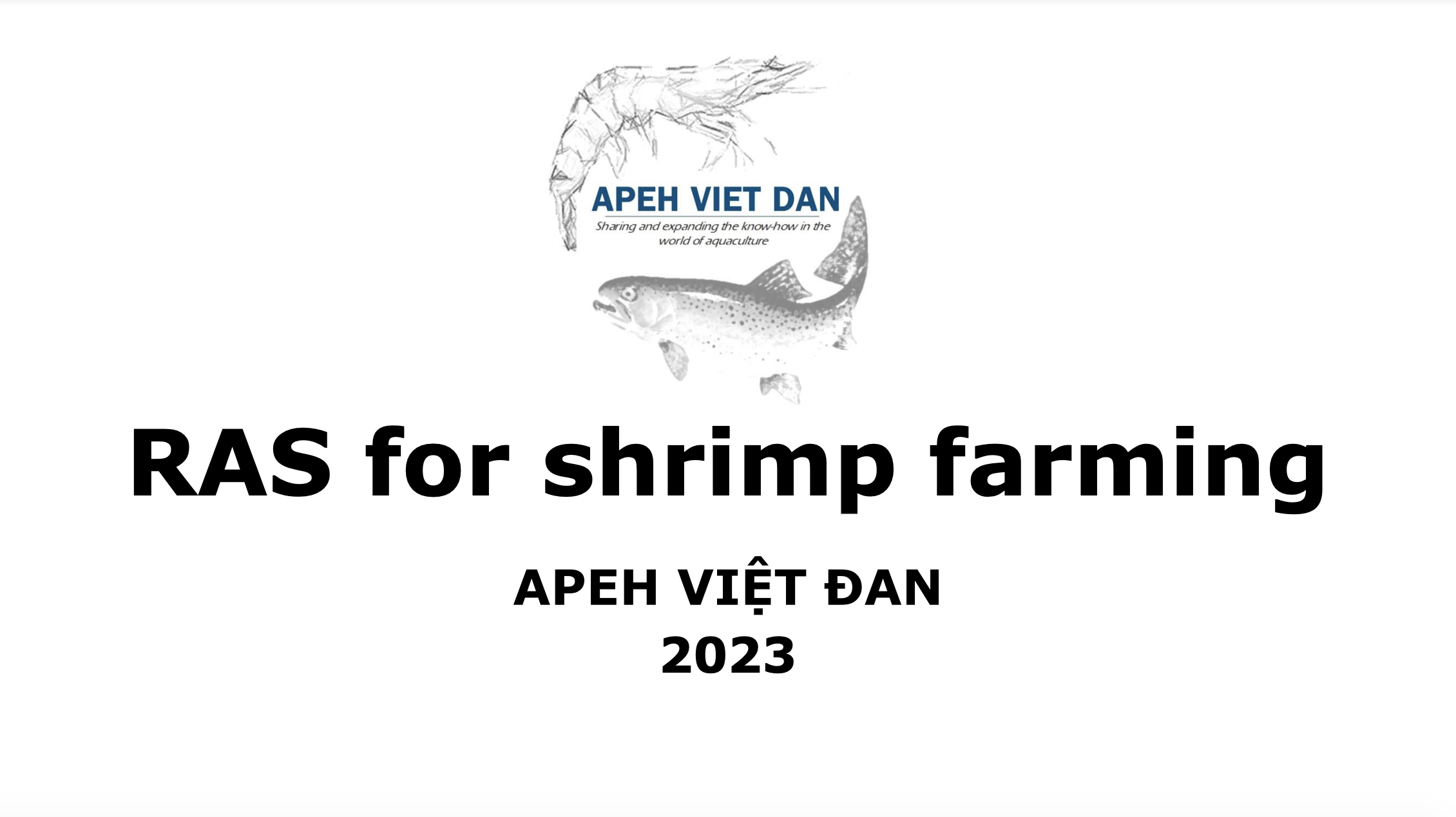 HỆ THỐNG TUẦN HOÀN NƯỚC CỦA APEH VIỆT ĐAN