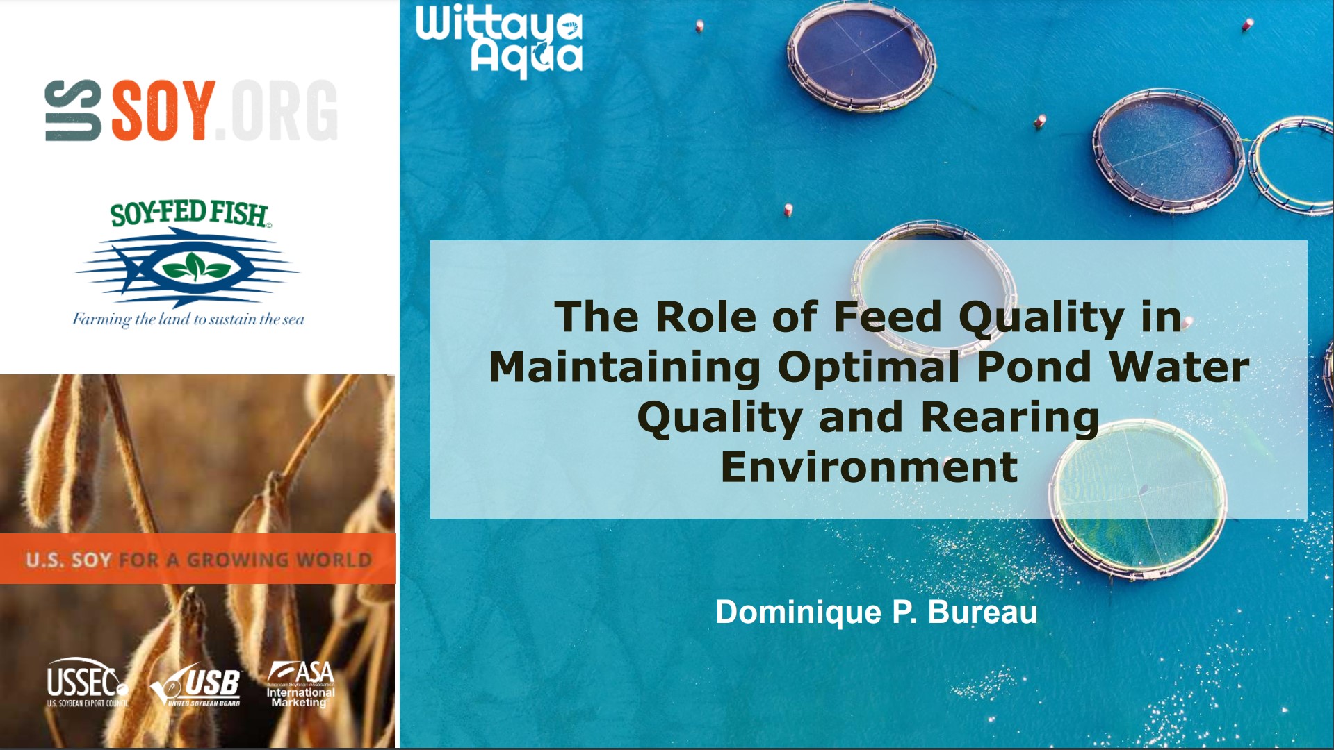 Bureau DP 2023 Feed on Water Quality