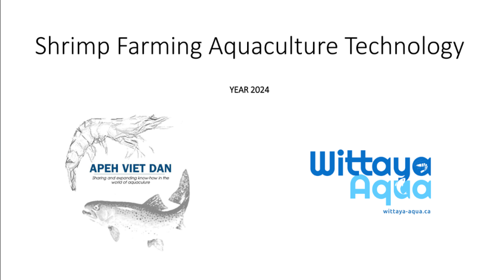 Shrimp Farming Technology – All Practical Solutions and Innovation