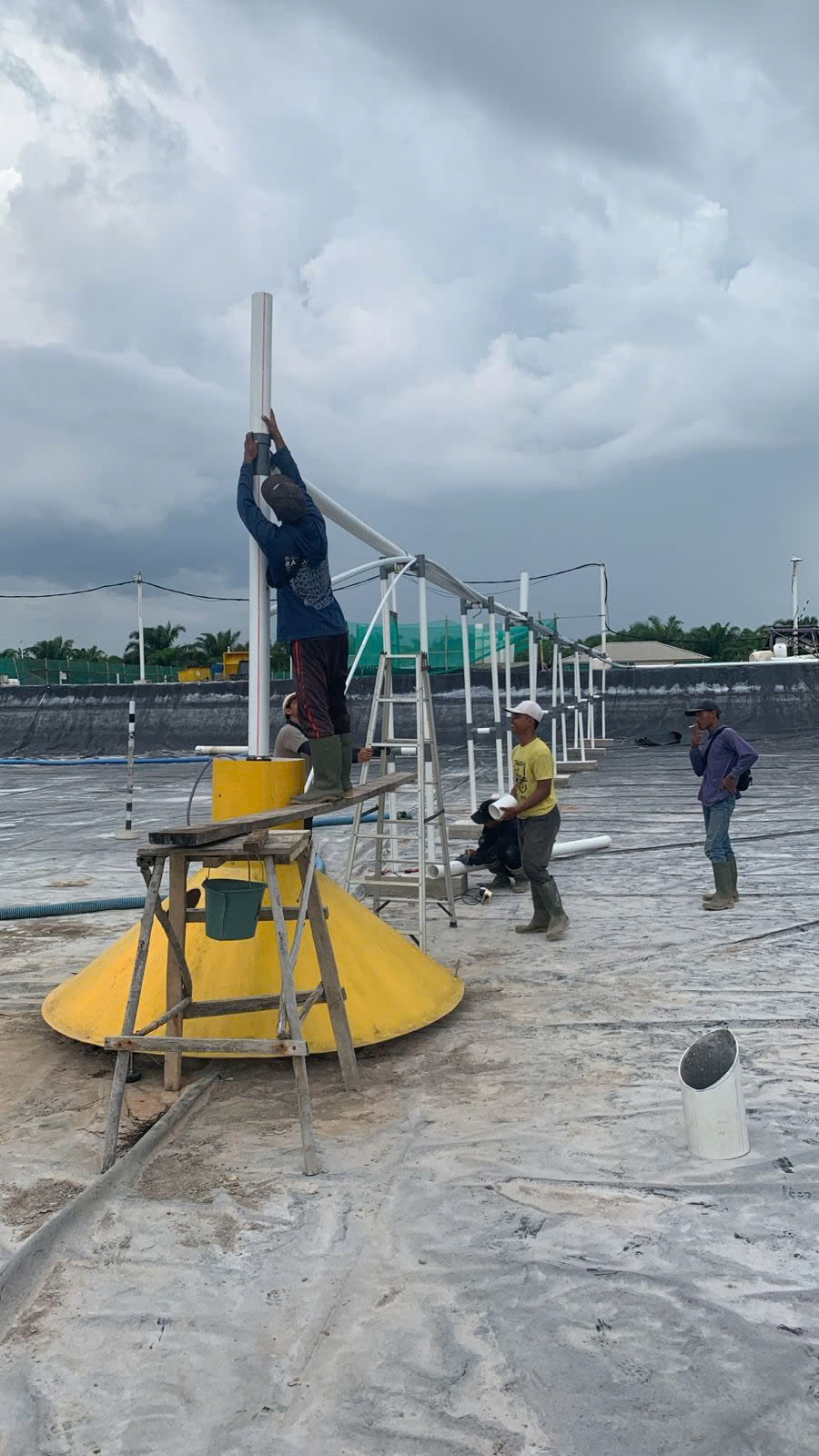 Hướng Dẫn Lắp Đặt CDSS