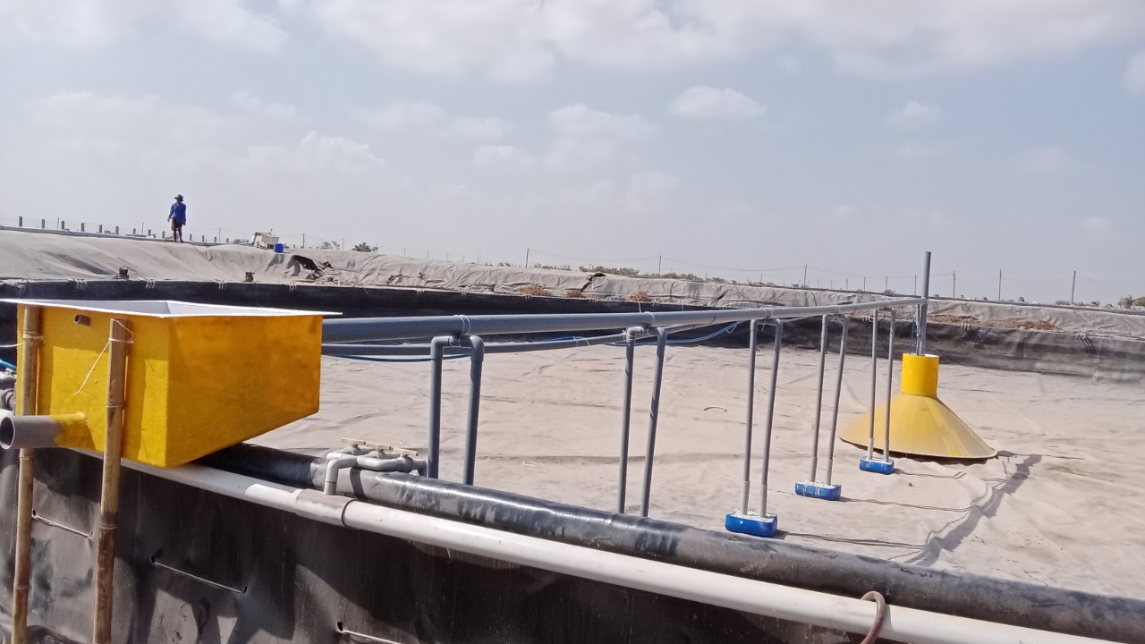 CDSS Installation Manual