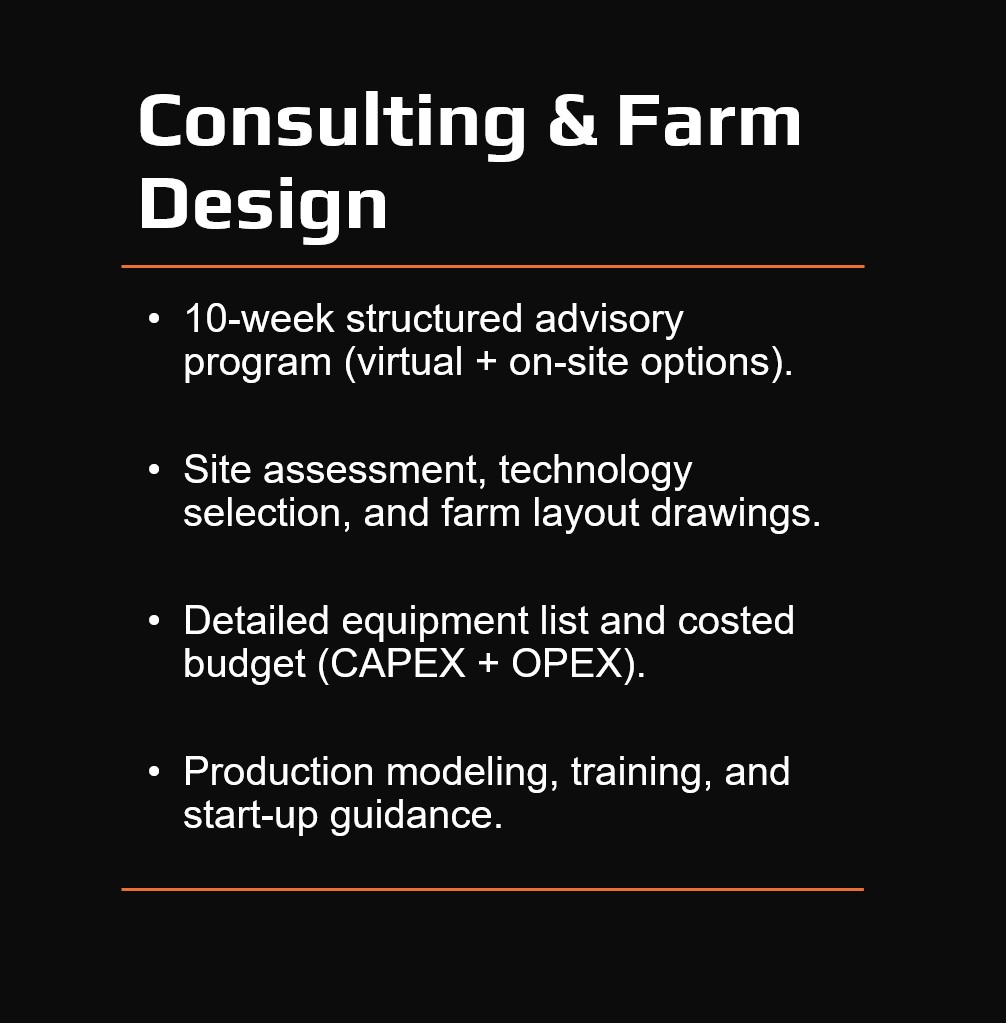 Consulting Service_AP VIET DAN